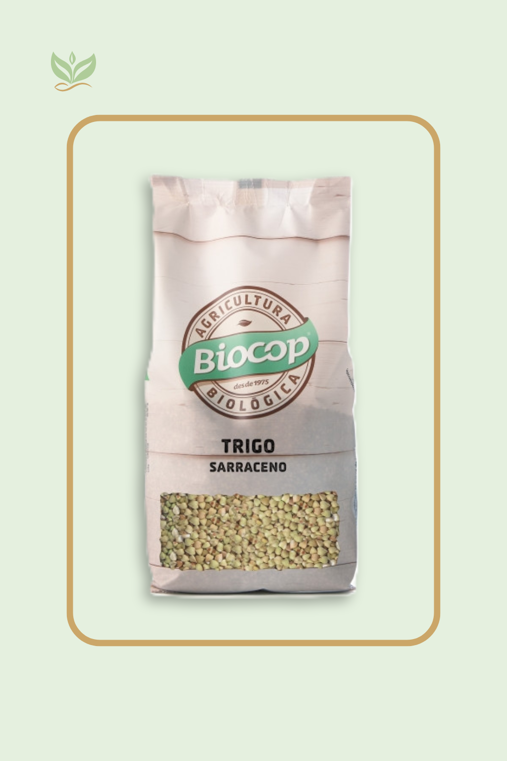 Trigo Sarraceno BIOCOP